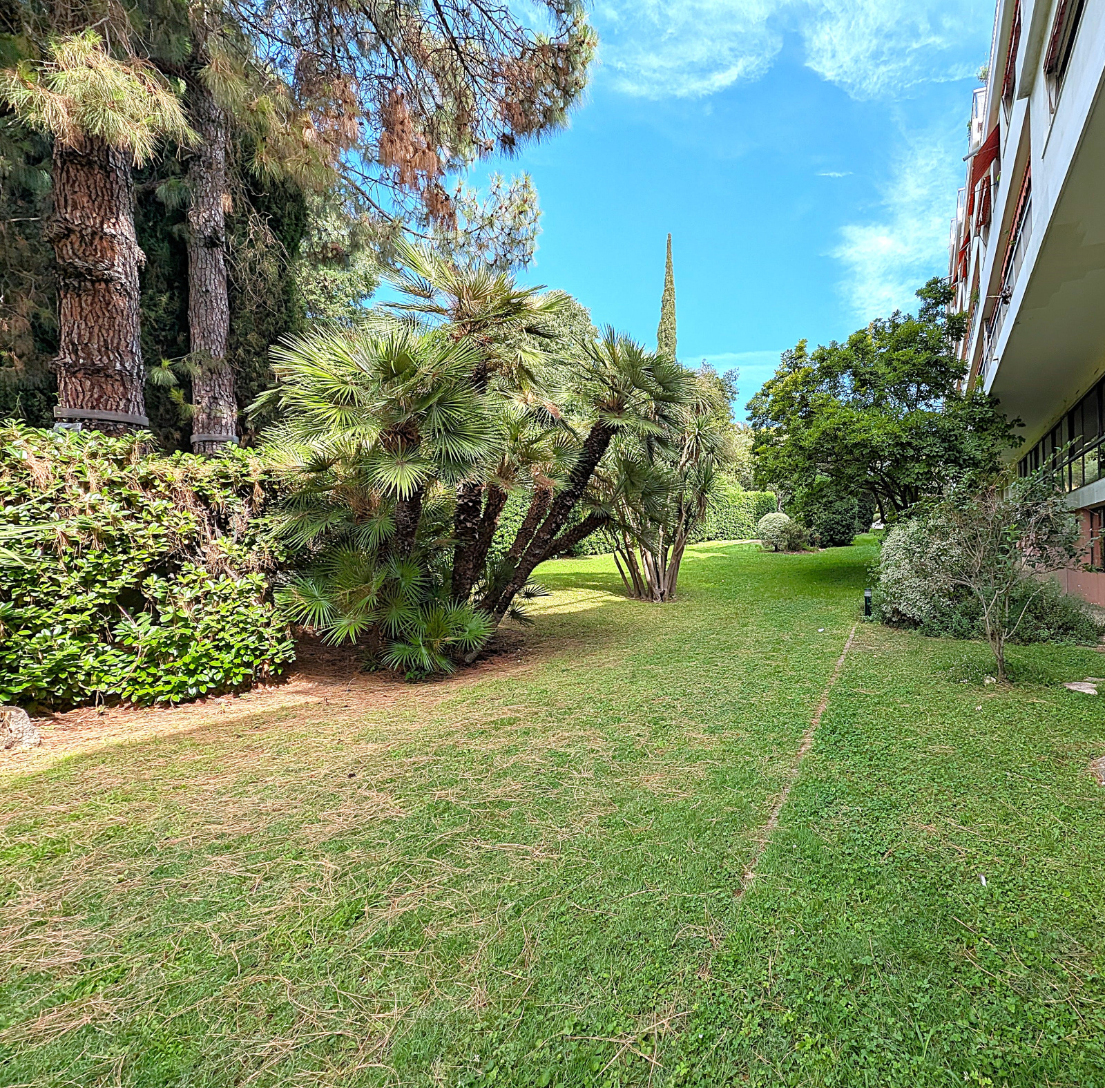 Image_, Appartement, Nice, ref :646